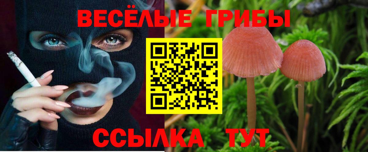 Ишим  Галлюциногенные грибы прущие грибы  где можно купить наркотик  Псилоцибиновые грибы мухоморы  Вход с VPN 