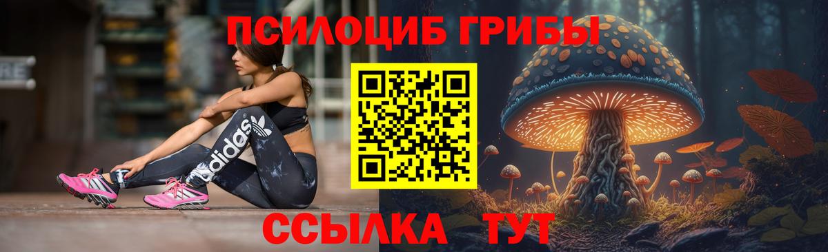 Псилоцибиновые грибы GOLDEN TEACHER Ишим